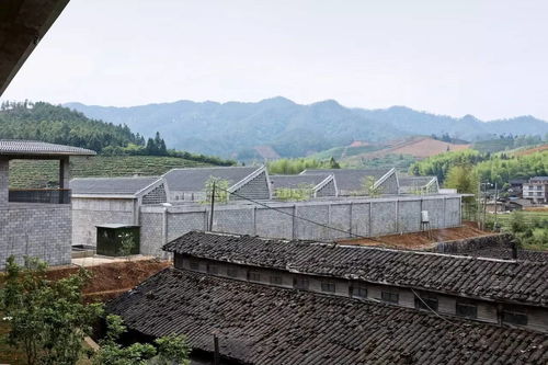 竹影流筏，新韻武夷——跡建筑事務所武夷山竹筏育制場旅游開發項目策劃咨詢